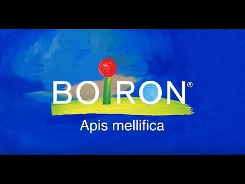 Boiron, Апис меллифика, 200CK, прибл. 80 гранул