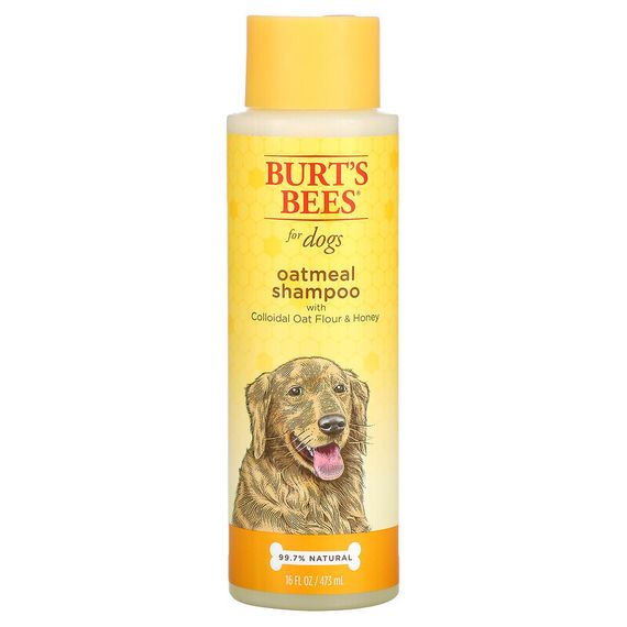 Burt&#39;s Bees, Овсяный шампунь для собак с коллоидной овсяной мукой и медом, 473 мл (16 жидк. Унций)